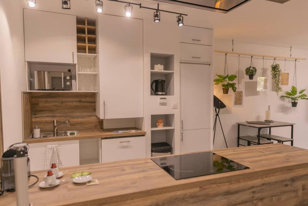 Superbe Appart Plein Centre Avec Parking & Jardin Metz Bagian luar foto